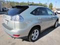 2006 Bamboo Pearl Lexus RX 330  photo #7