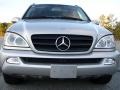 Brilliant Silver Metallic - ML 320 4Matic Photo No. 46