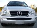 2002 Brilliant Silver Metallic Mercedes-Benz ML 320 4Matic  photo #46