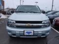 Moondust Metallic - TrailBlazer LS 4x4 Photo No. 8