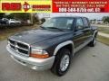 2004 Graphite Metallic Dodge Dakota SLT Quad Cab 4x4  photo #1