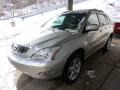 Millenium Silver Metallic - RX 350 AWD Photo No. 5