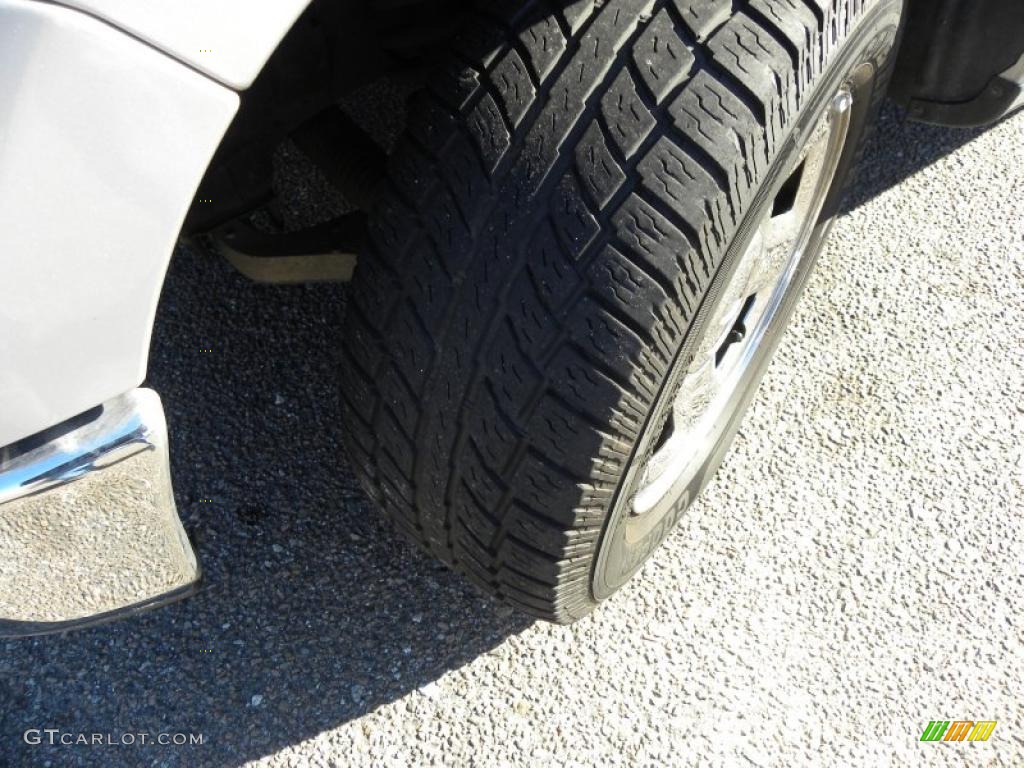 2006 F150 XLT SuperCrew - Silver Metallic / Medium/Dark Flint photo #17