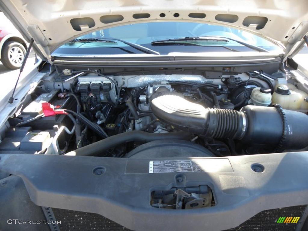 2006 F150 XLT SuperCrew - Silver Metallic / Medium/Dark Flint photo #18