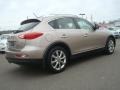 2008 Scarlet Silver Infiniti EX 35 Journey  photo #4