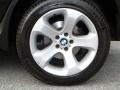 2006 BMW X5 4.4i Wheel and Tire Photo