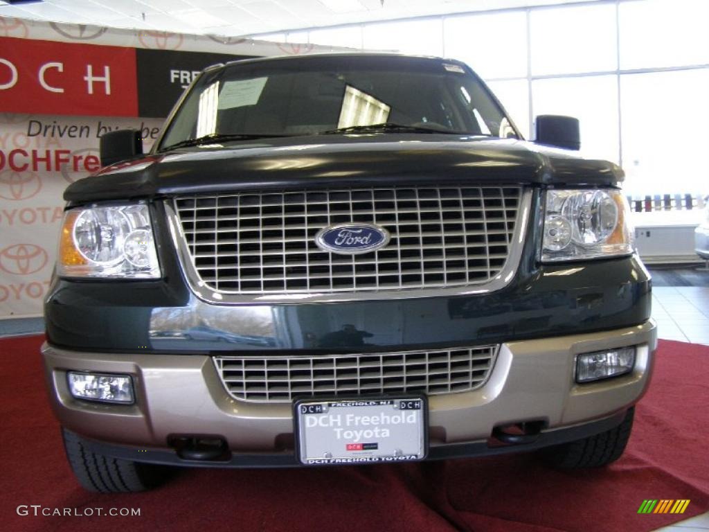 2003 Expedition Eddie Bauer 4x4 - Estate Green Metallic / Medium Parchment photo #2
