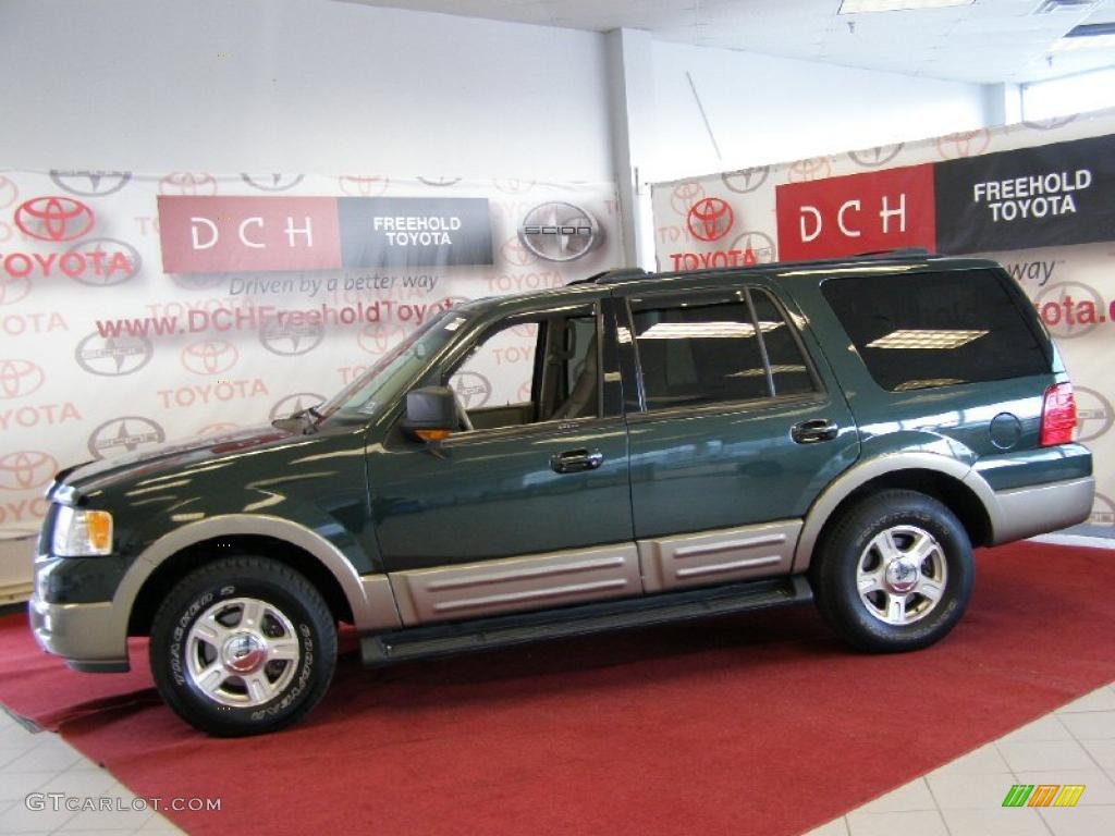 2003 Expedition Eddie Bauer 4x4 - Estate Green Metallic / Medium Parchment photo #4