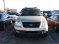 Pueblo Gold Metallic - Expedition XLT Photo No. 2