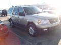 Pueblo Gold Metallic - Expedition XLT Photo No. 3