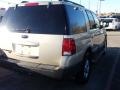 Pueblo Gold Metallic - Expedition XLT Photo No. 5
