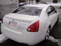 2004 Winter Frost Pearl Nissan Maxima 3.5 SE  photo #7