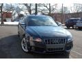 Meteor Gray Pearl Effect - S5 4.2 FSI quattro Coupe Photo No. 2
