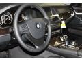 Black 2011 BMW 5 Series 535i Sedan Steering Wheel