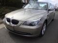 Platinum Bronze Metallic 2008 BMW 5 Series 528xi Sedan Exterior