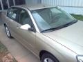 Sandstone Metallic - Malibu LT V6 Sedan Photo No. 20
