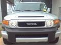 Titanium Metallic - FJ Cruiser  Photo No. 2