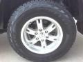 Titanium Metallic - FJ Cruiser  Photo No. 3