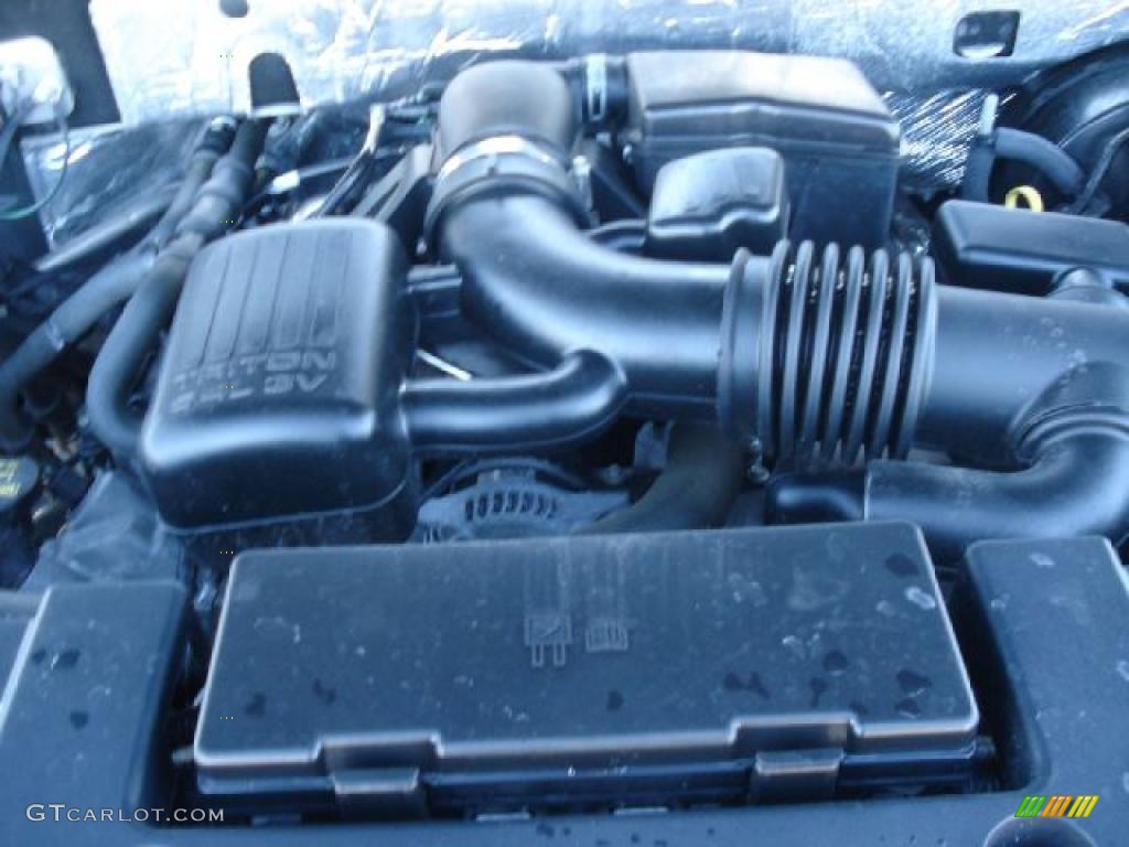 2010 Ford Expedition XLT 5.4 Liter Flex-Fuel SOHC 24-Valve VVT V8 Engine Photo #45037153