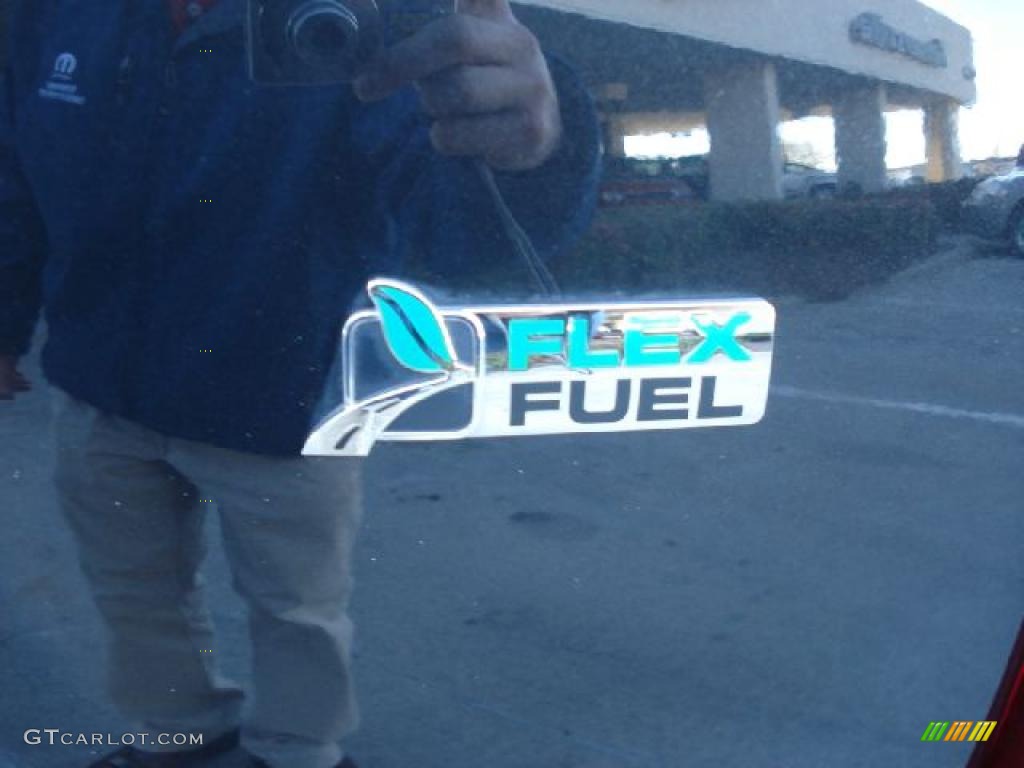 2010 Ford Expedition XLT Marks and Logos Photo #45037193