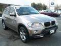 Platinum Bronze Metallic - X5 3.0si Photo No. 3