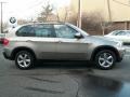 Platinum Bronze Metallic - X5 3.0si Photo No. 4