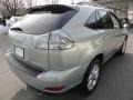 2008 Bamboo Pearl Lexus RX 350 AWD  photo #6