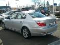 2008 Titanium Silver Metallic BMW 5 Series 528xi Sedan  photo #7