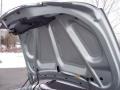 Satin Jade Pearl - Sebring Touring Convertible Photo No. 49
