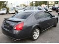 Precision Gray Metallic - Maxima 3.5 SE Photo No. 5