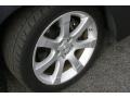 Precision Gray Metallic - Maxima 3.5 SE Photo No. 18