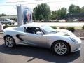  2011 Elise R Arctic Silver