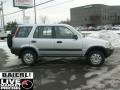 Sebring Silver Metallic - CR-V LX 4WD Photo No. 8