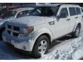 Stone White - Nitro SXT 4x4 Photo No. 1
