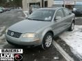 Stonehenge Grey Metallic - Passat GLS 4Motion Sedan Photo No. 3