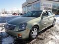 Silver Green - CTS Sedan Photo No. 1