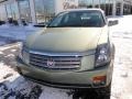 Silver Green - CTS Sedan Photo No. 2