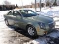 Silver Green - CTS Sedan Photo No. 3