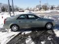Silver Green - CTS Sedan Photo No. 4