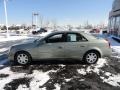 Silver Green - CTS Sedan Photo No. 8