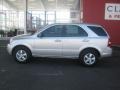 Bright Silver - Sorento LX Photo No. 2