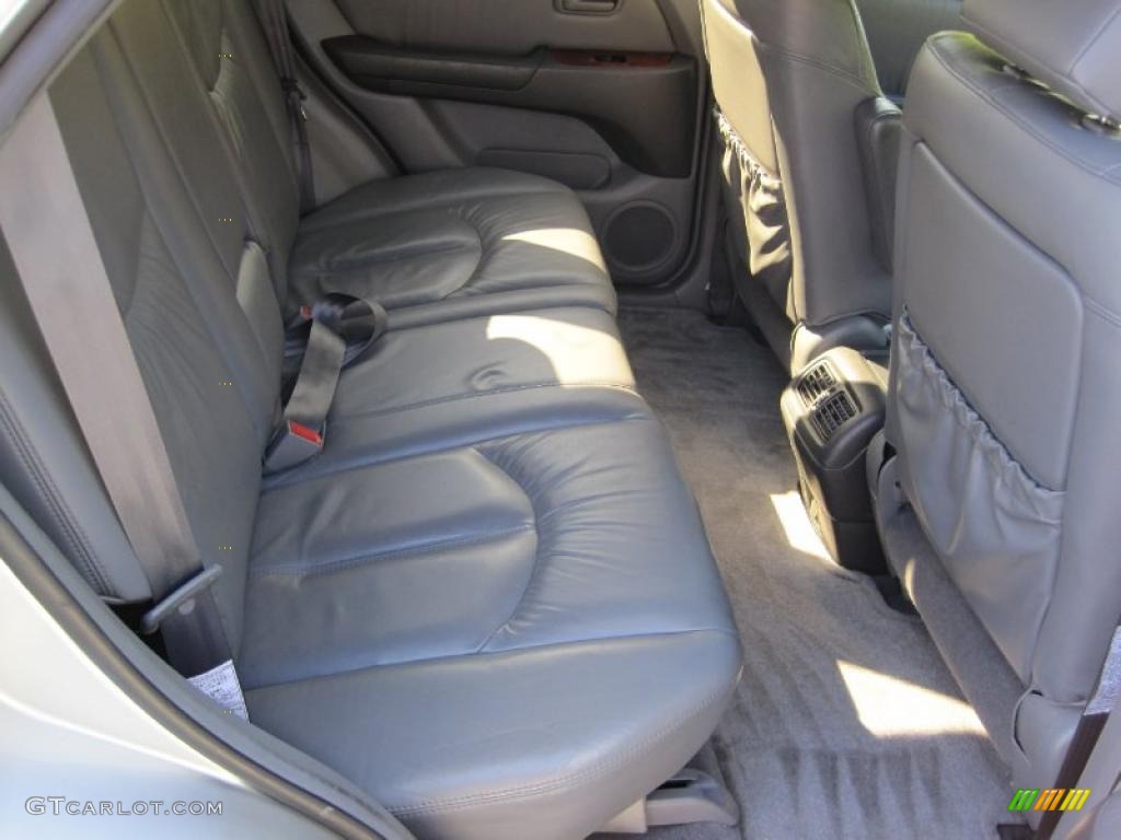 1999 RX 300 AWD - Millenium Silver Metallic / Gray photo #6