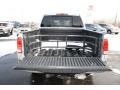 Radiant Silver - Titan LE Crew Cab 4x4 Photo No. 28