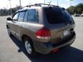 Mocha Frost - Santa Fe GLS Photo No. 3