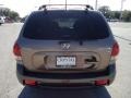 Mocha Frost - Santa Fe GLS Photo No. 11