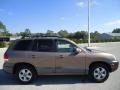 Mocha Frost 2006 Hyundai Santa Fe GLS Exterior