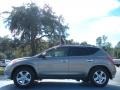 Polished Pewter Metallic - Murano SL AWD Photo No. 2