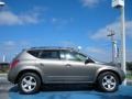 Polished Pewter Metallic - Murano SL AWD Photo No. 6