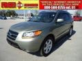 2008 Natural Khaki Green Hyundai Santa Fe Limited  photo #1