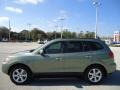 2008 Natural Khaki Green Hyundai Santa Fe Limited  photo #2